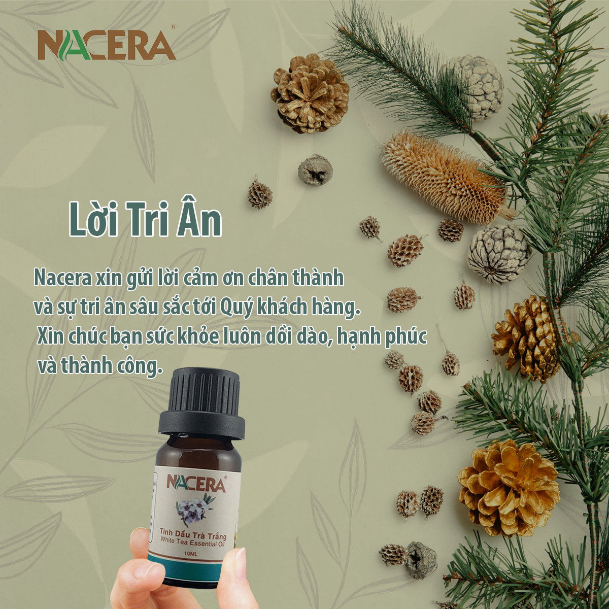 Tinh dầu Bạc Hà 10ml Giúp làm thơm phòng, kháng khuẩn, có kiểm định chất lượng