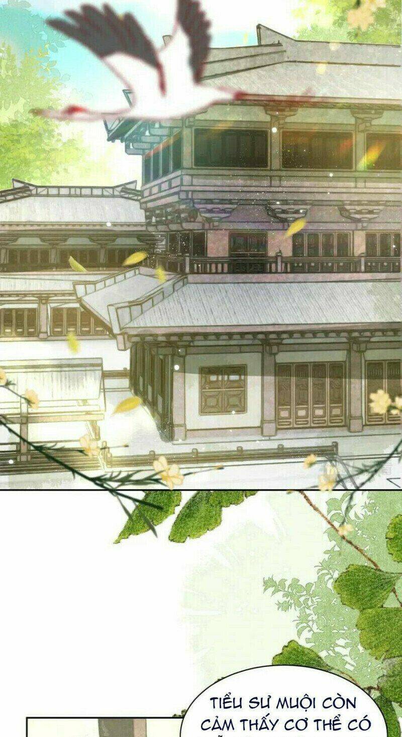 hắc hóa nam chính trực tuyến nuôi thỏ chapter 61 19