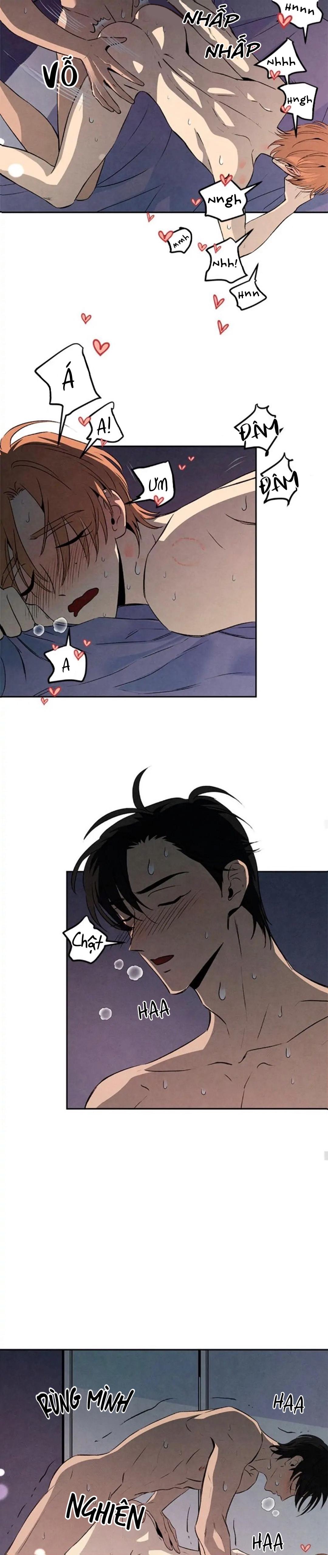 bona sort chapter 28 13