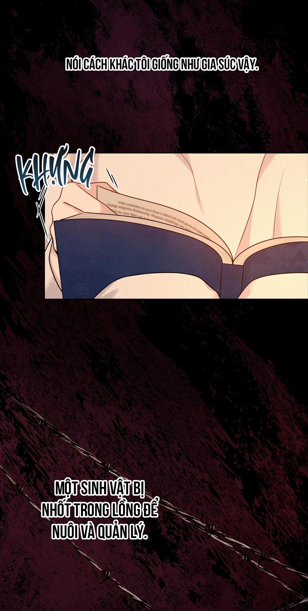 macguffin chapter 1 24