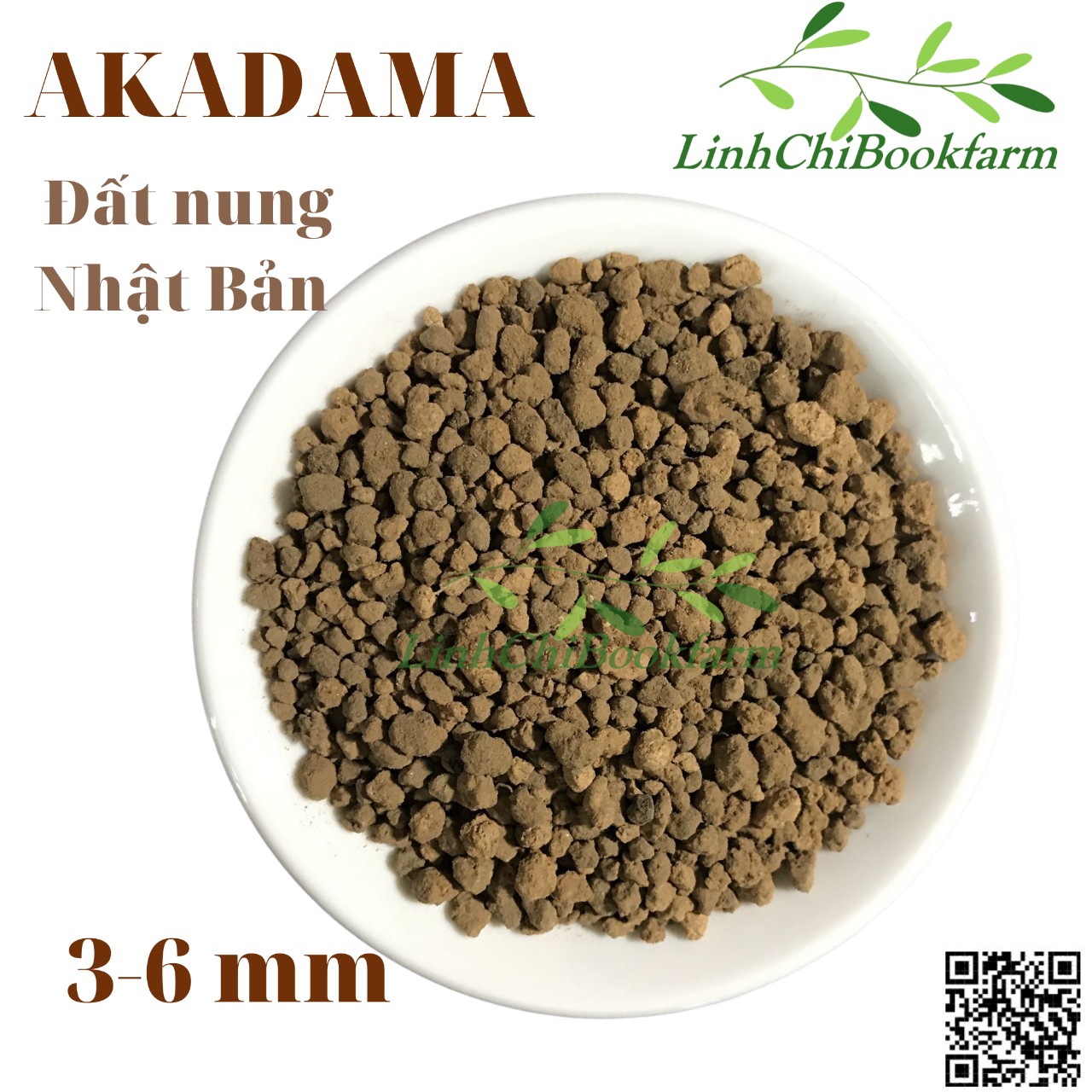 1kg Đất nung Akadama Ryusen size S - giá thể cho sen đá, xương rồng, bonsai, thủy canh