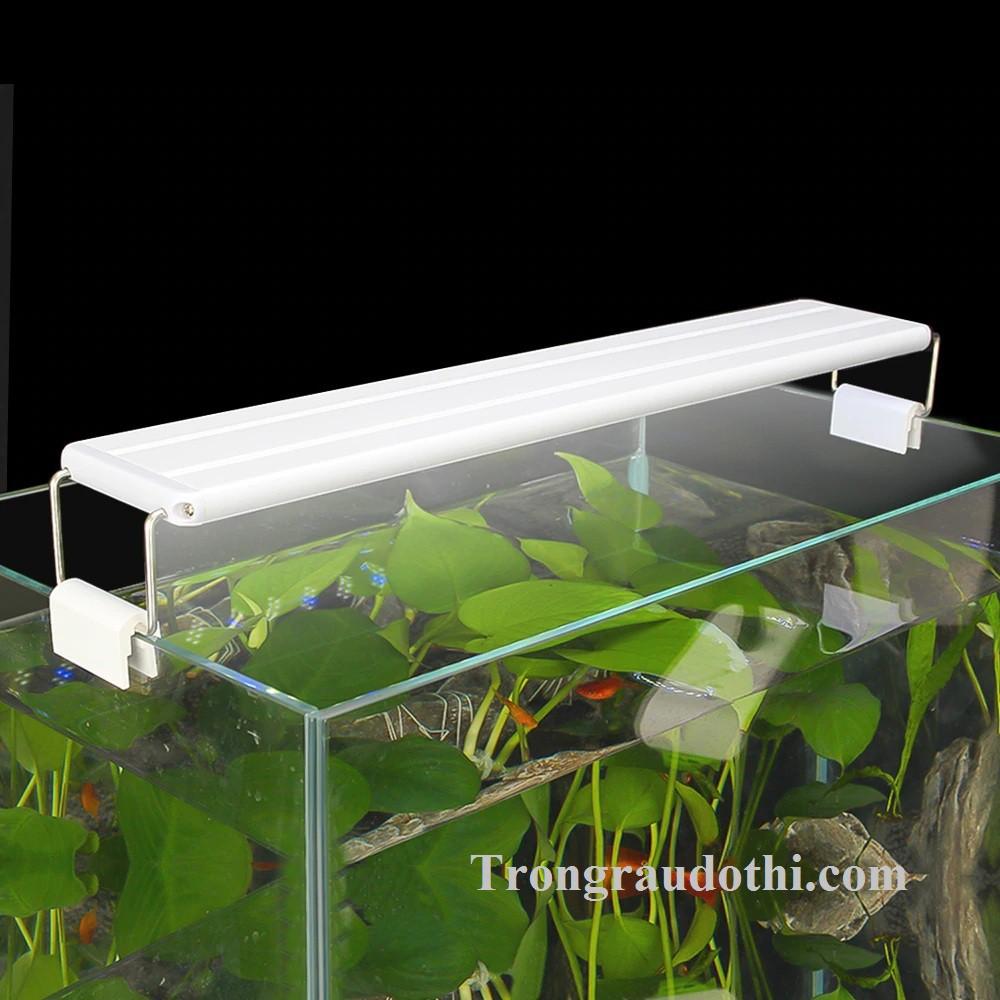 Đèn led máng K400 phù hợp cho bể 40-50cm, đèn rất sáng và thẩm mỹ đẹp