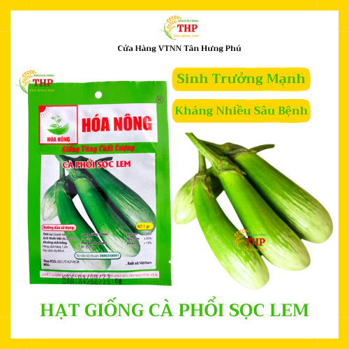 Hạt giống Cà Phổi Sọc Lem | Hạt Giống | gói 1gr