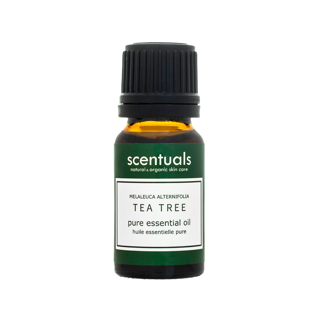 Tinh dầu tràm trà - Pure essential oil 10 ml - TEA TREE