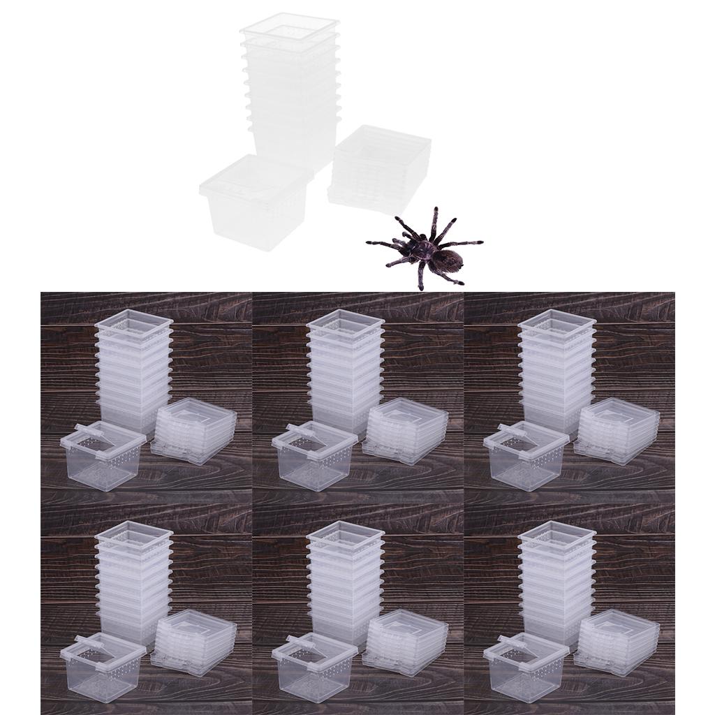 60Pcs/Set Insect Reptile Spider Terrariums Breeding Box Hatching Container