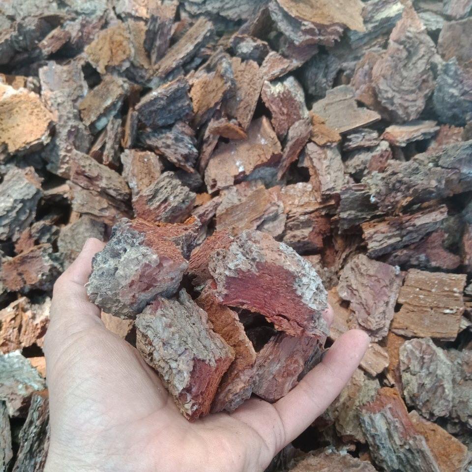 Combo 5kg vỏ thông băm 3-4cm