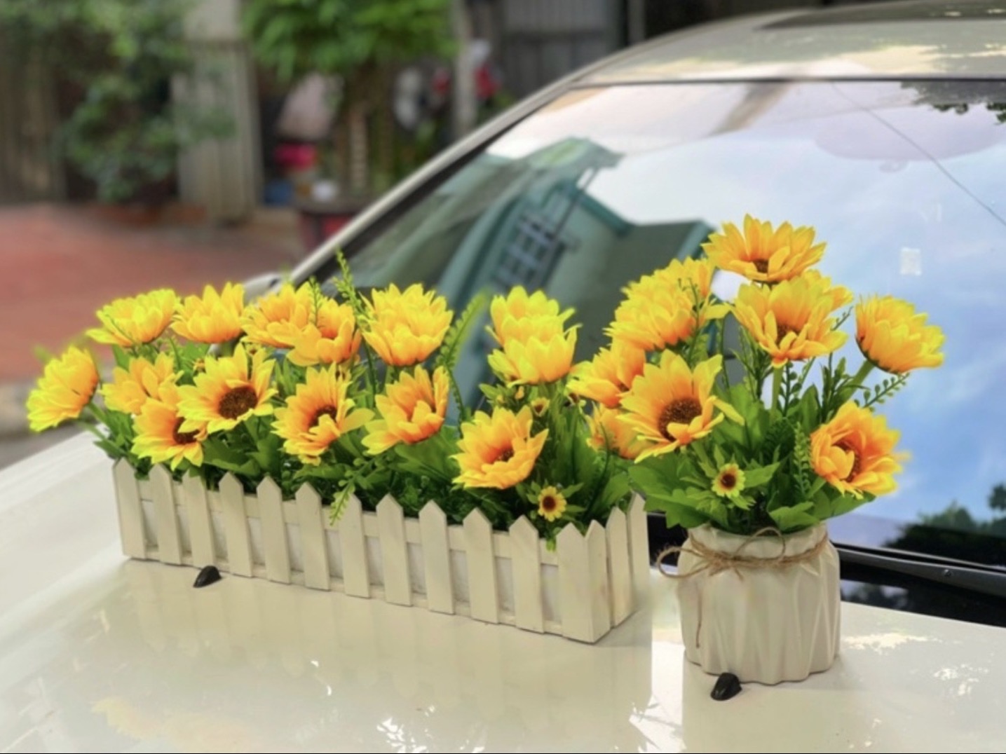 Hoa hướng dương, bình hoa cắm sẵn và chậu hàng rào hoa giả trang trí