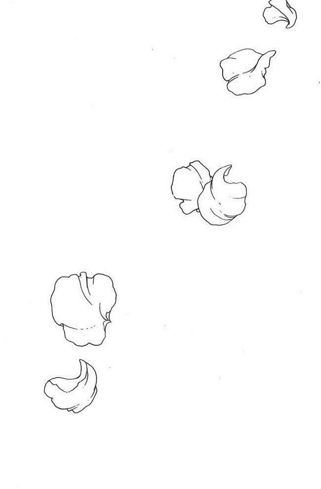 card captor sakura chapter 6 9