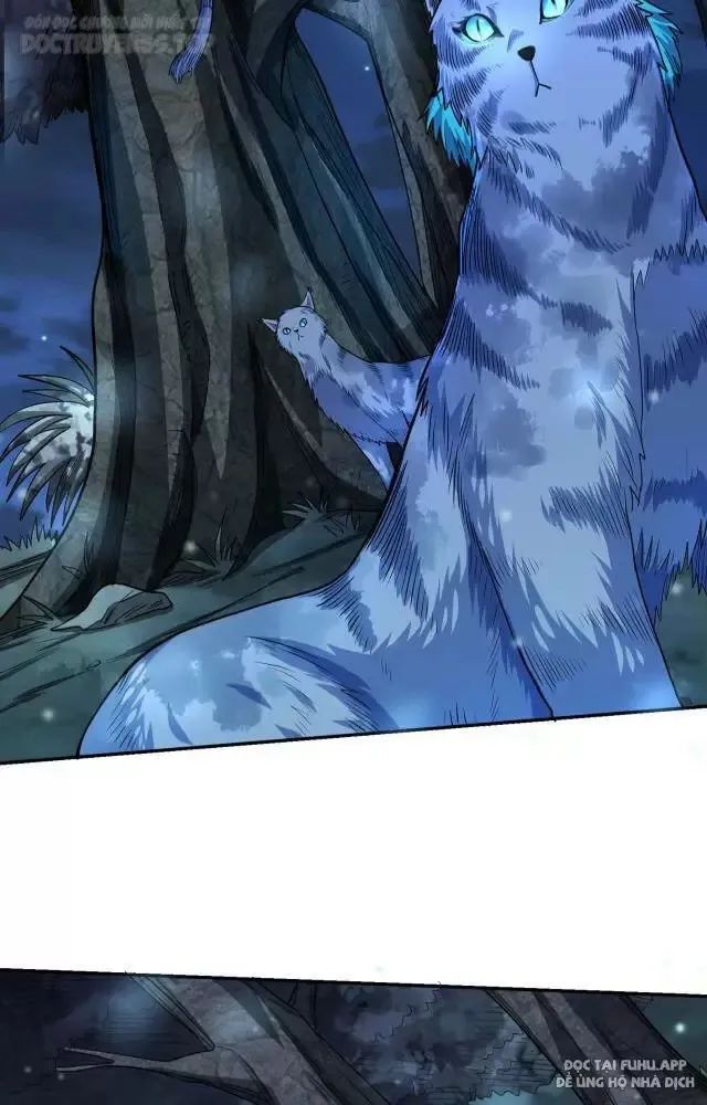 bắt đầu với thiên phú cấp sss chapter 11 25