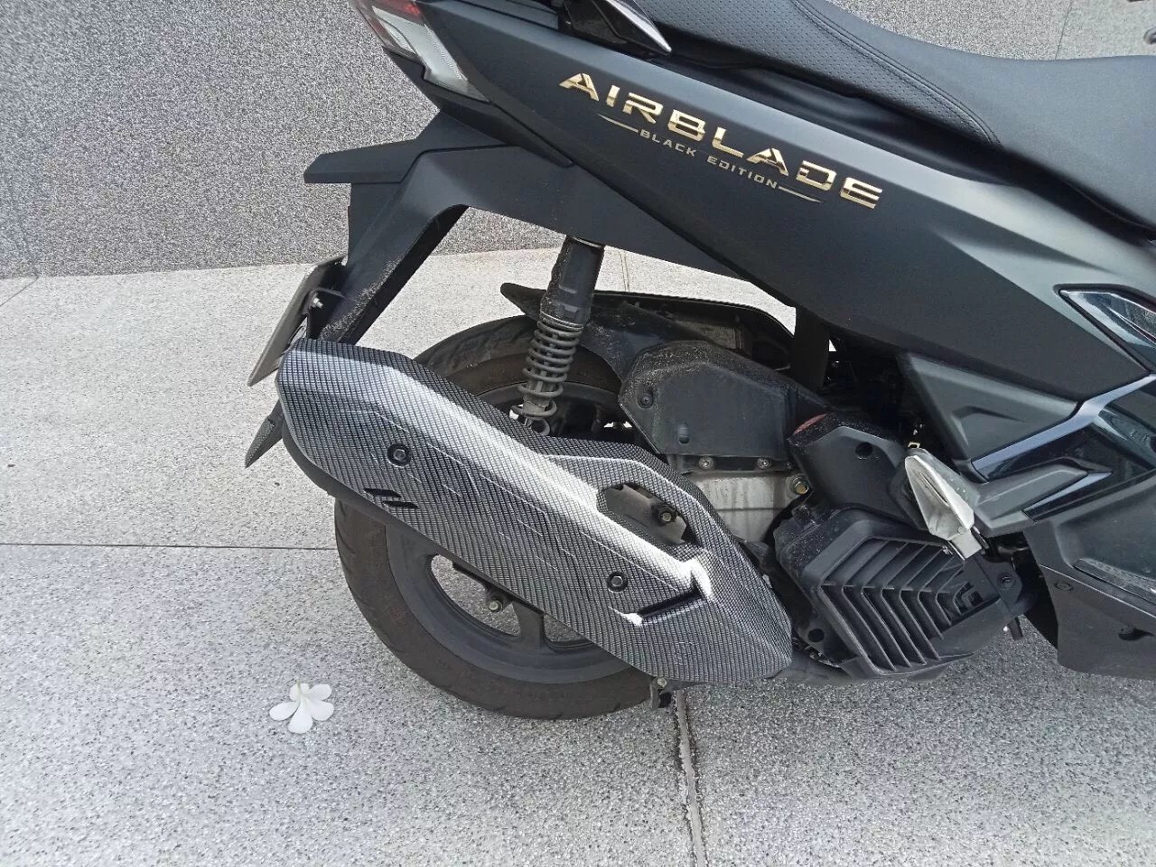 ỐP CHE PÔ DÙNG CHO ĐỜI XE AB 2022 2023 3024 - AB 125 160 CC CACBON