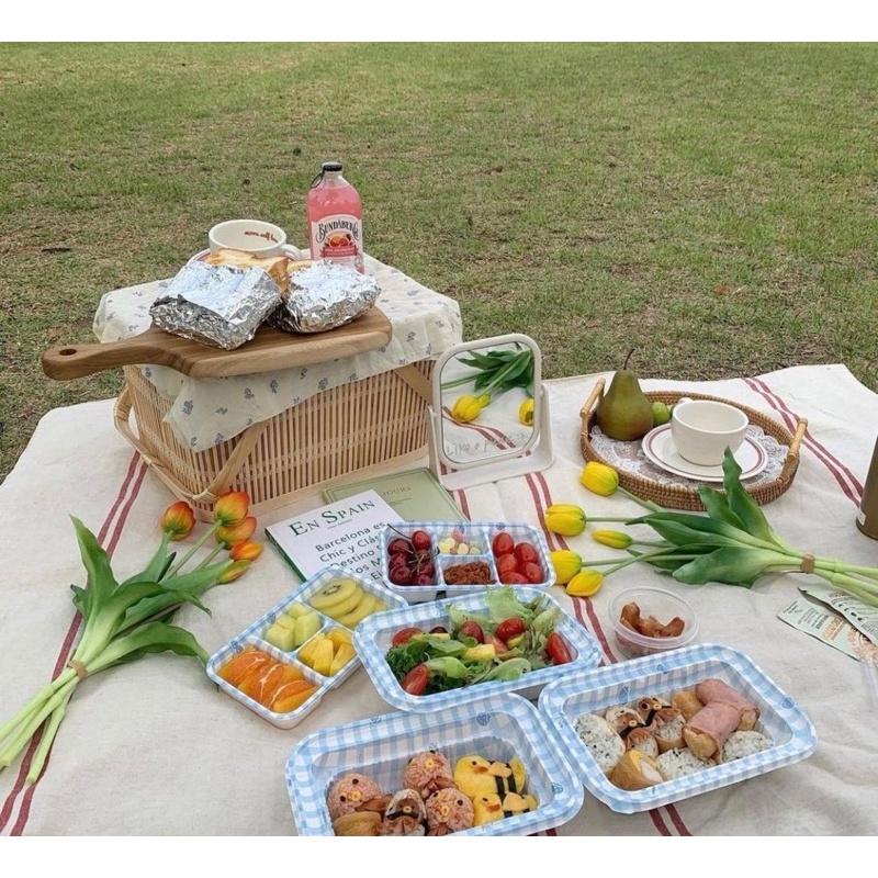 Giỏ mây đựng trái cây picnic/ đi du lịch/ trang trí tiện lợi