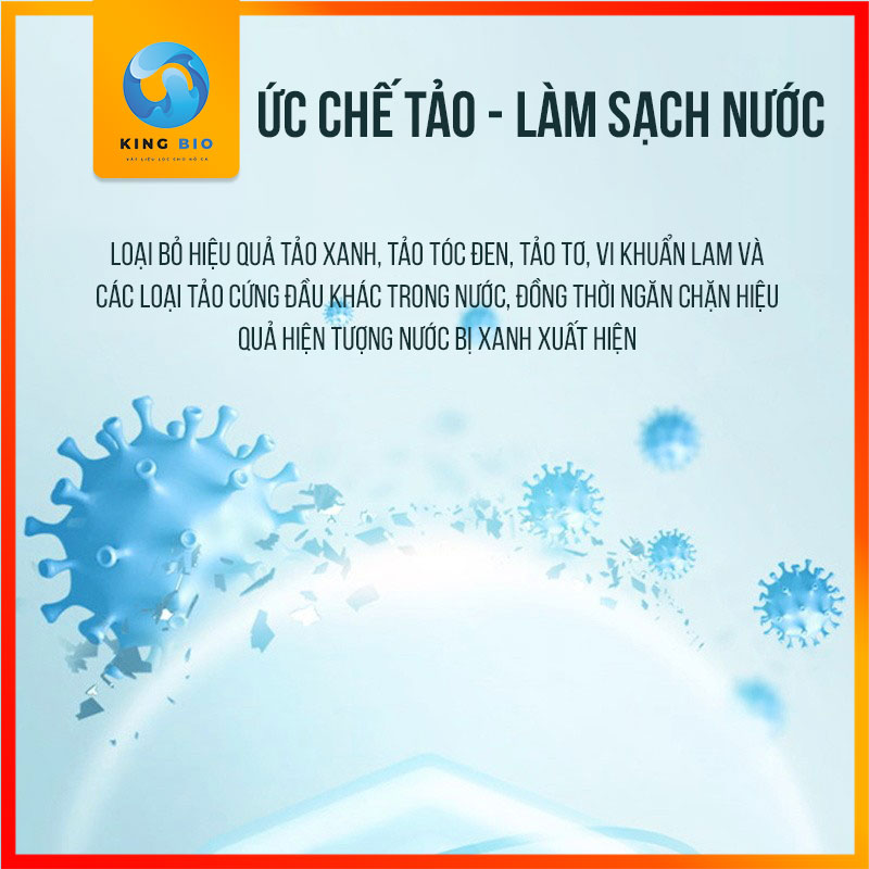 Chế phẩm sinh học diệt rêu tảo Yee Cleaning - diệt rêu tảo bể cá, bể thủy sinh không gây hại cho cá