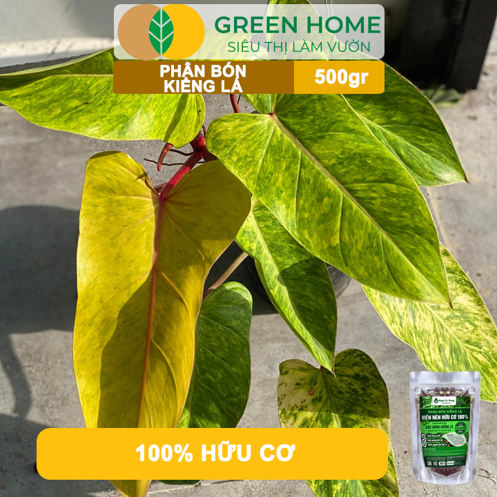 Phân Bón Kiểng Lá GreenHome, Sfarm, Bao 500gr, Chuyên Cho Các Dòng Kiểng Lá Trong Nhà Và Ngoài Trời