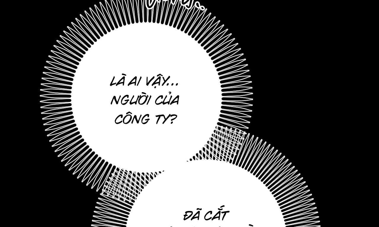 những chú thỏ của hapypy chapter 56 13