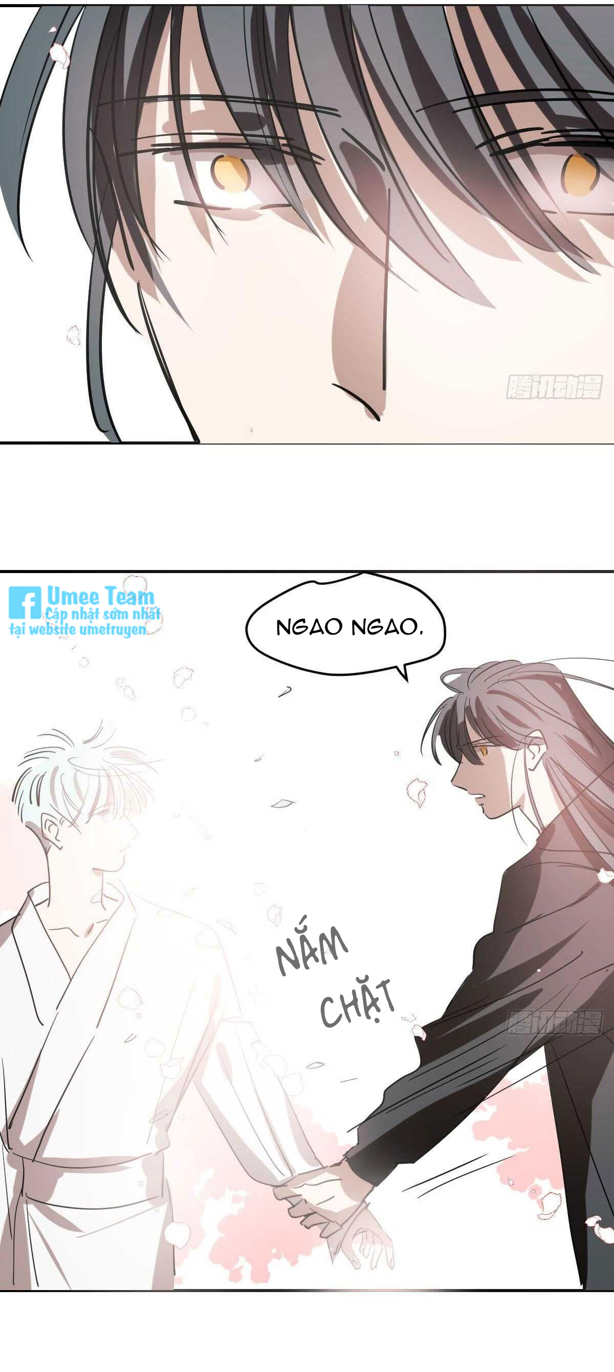 bắt lấy ngao ngao chapter 81 29