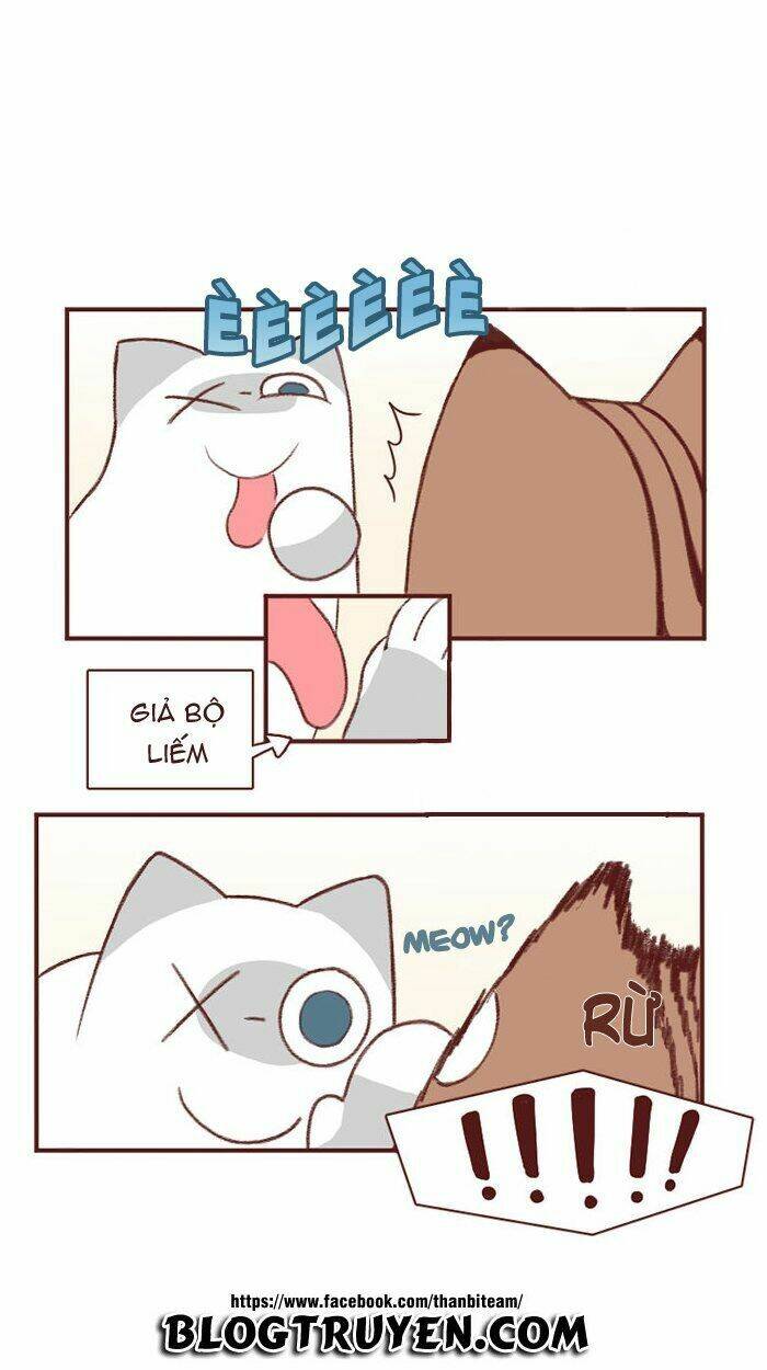saphie: chú mèo một mắt chapter 2 3