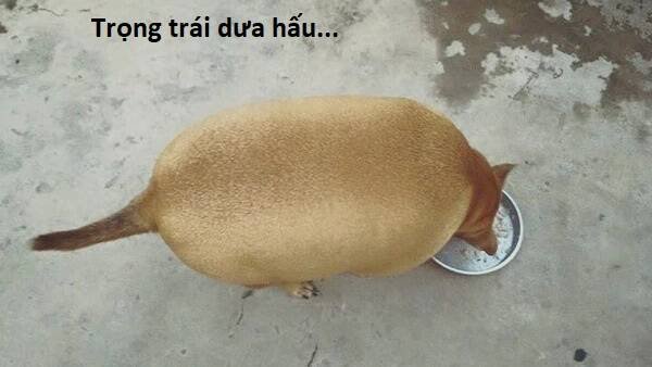 sự lụi tàn của usuzumi chapter 105 103