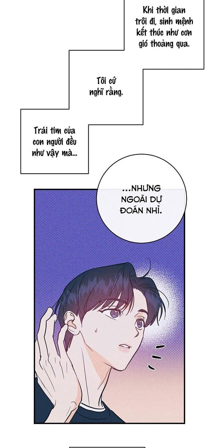 tình yêu ngây dại chapter 18 4
