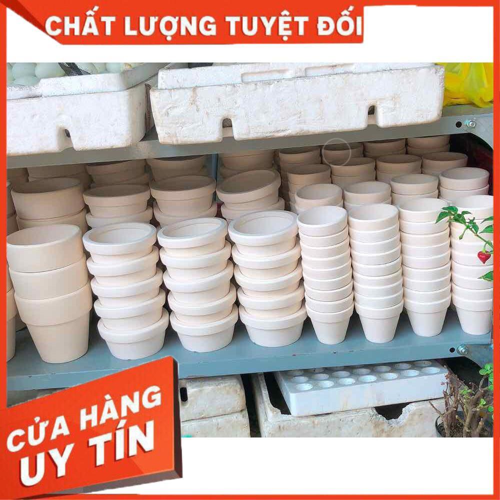 Chậu đất nung trồng cây Nhiều Người Mua