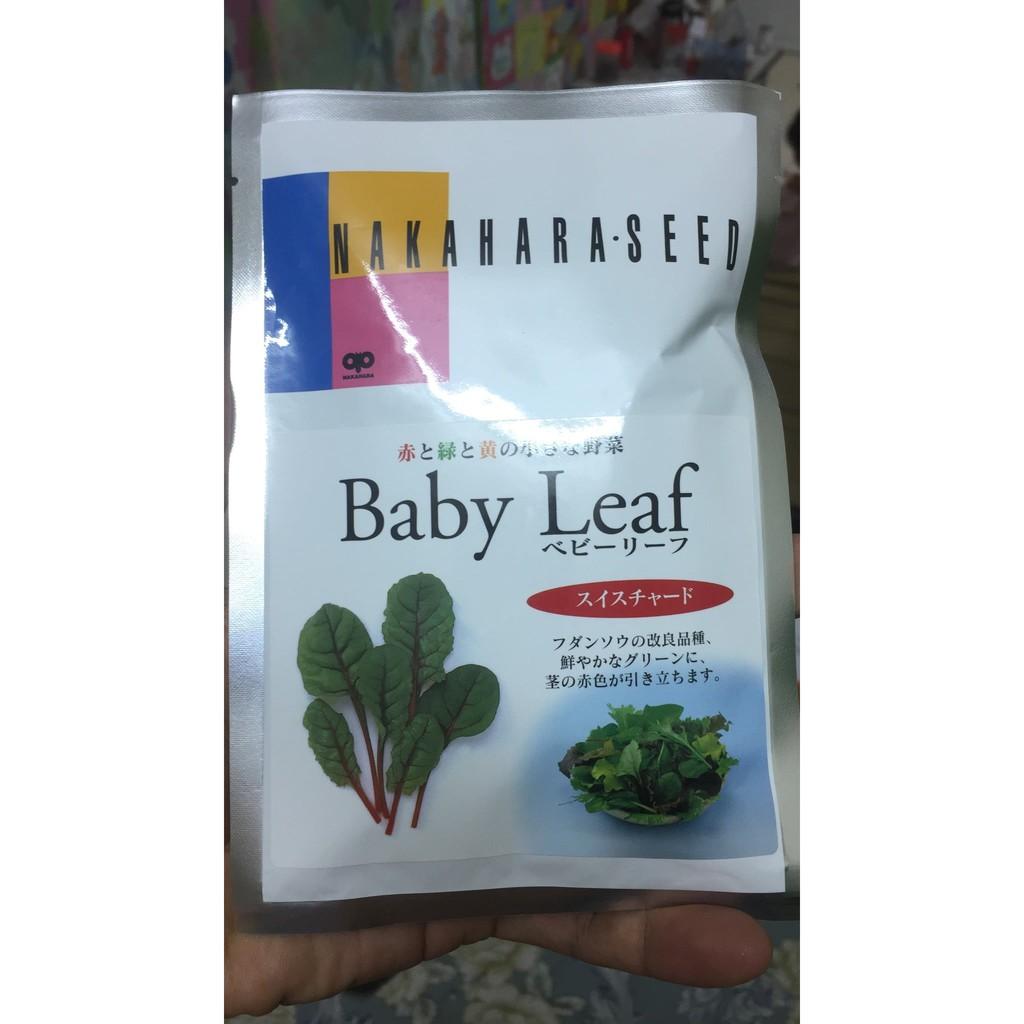 Hạt giống cải CẦU VÒNG SWISS CHARD BABY LEAF - Nhật Bản