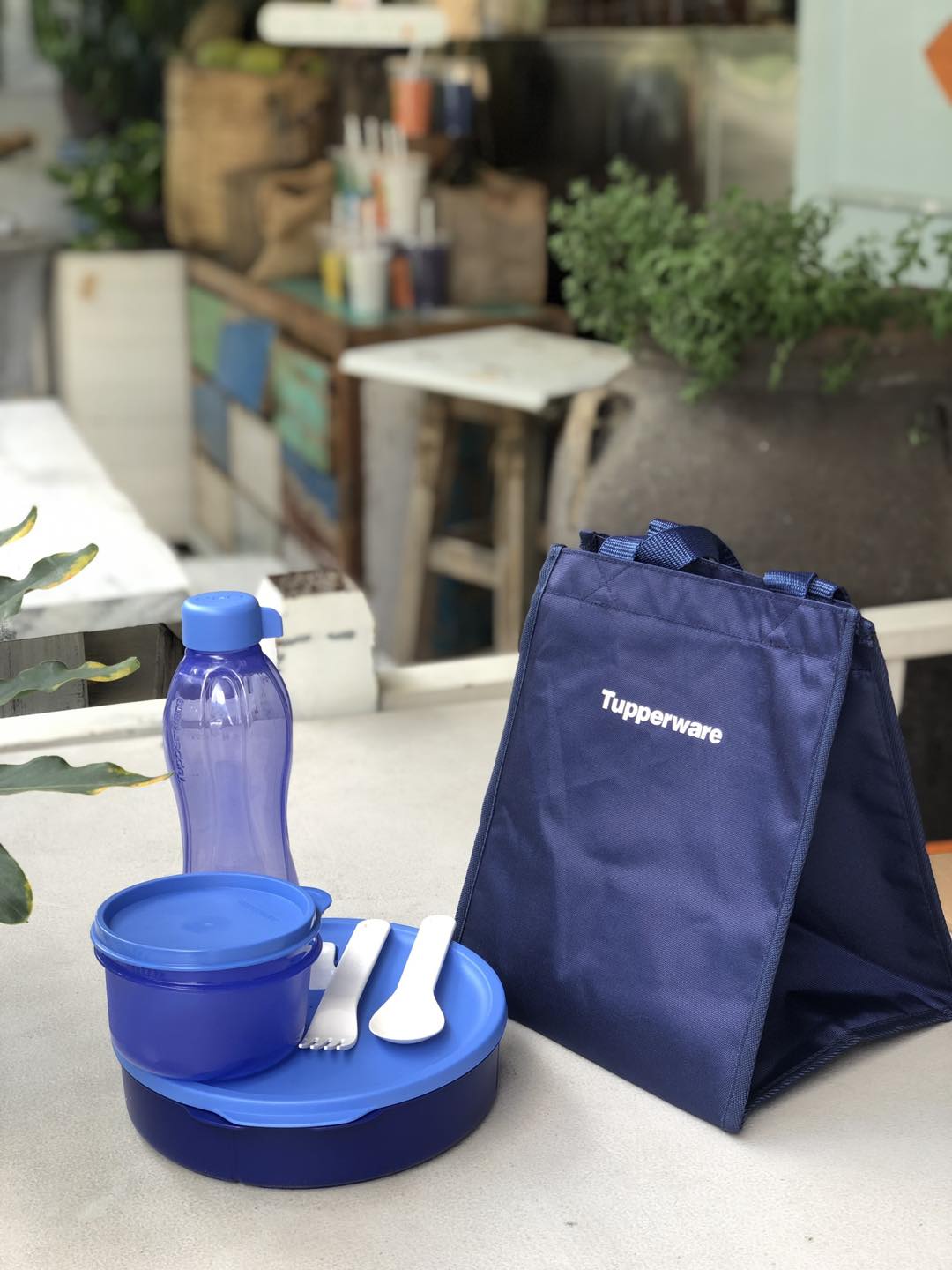 Bộ hộp cơm Fit to go