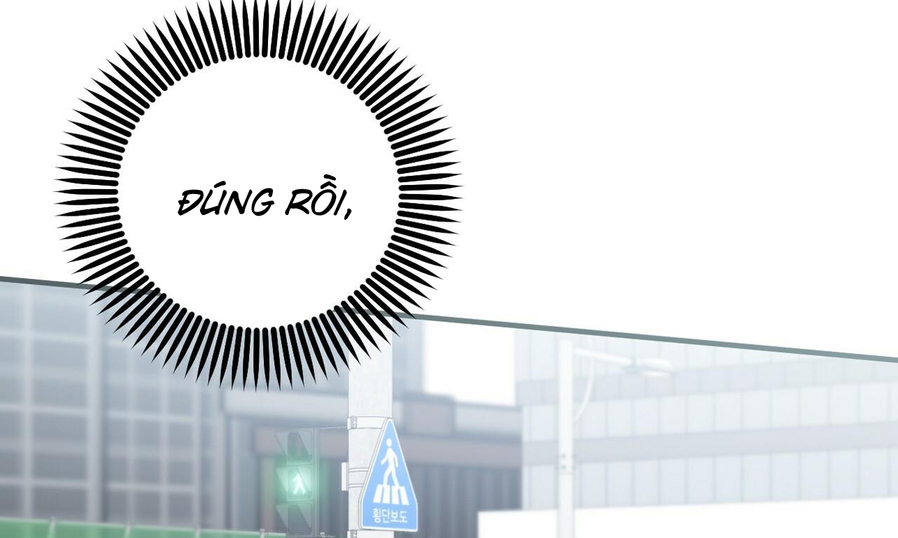 đàn thỏ của habibi chapter 50 178