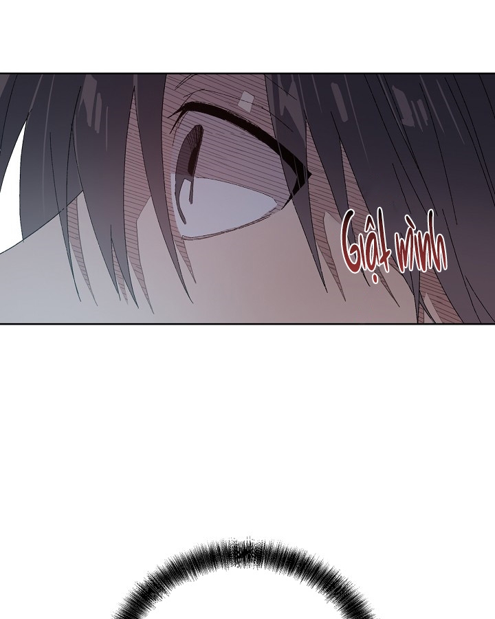 chàng tuấn mã của tôi chapter 26 63