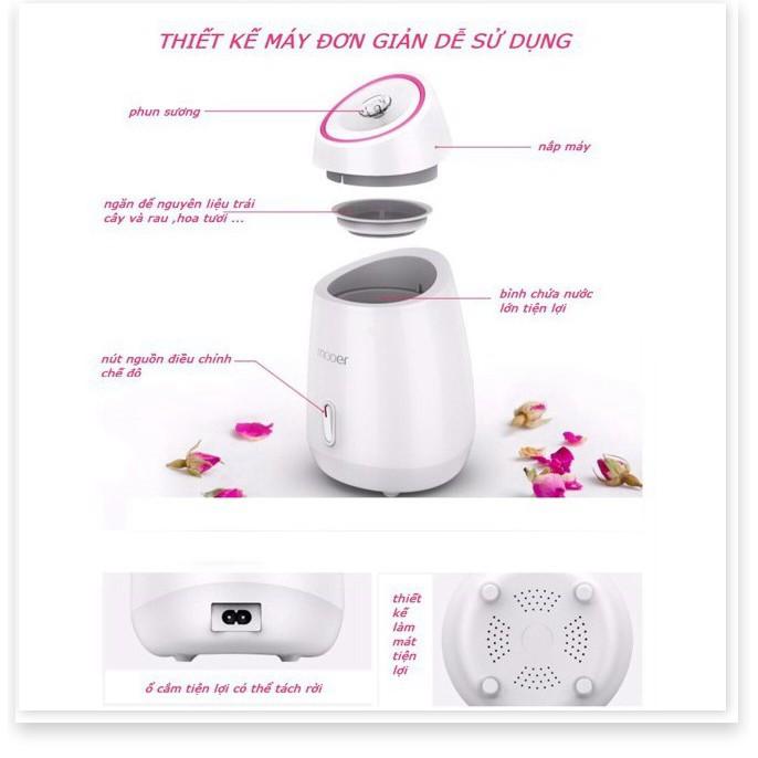Máy xông hơi mặt hoa quả, thảo dược 2 in 1 Maoer