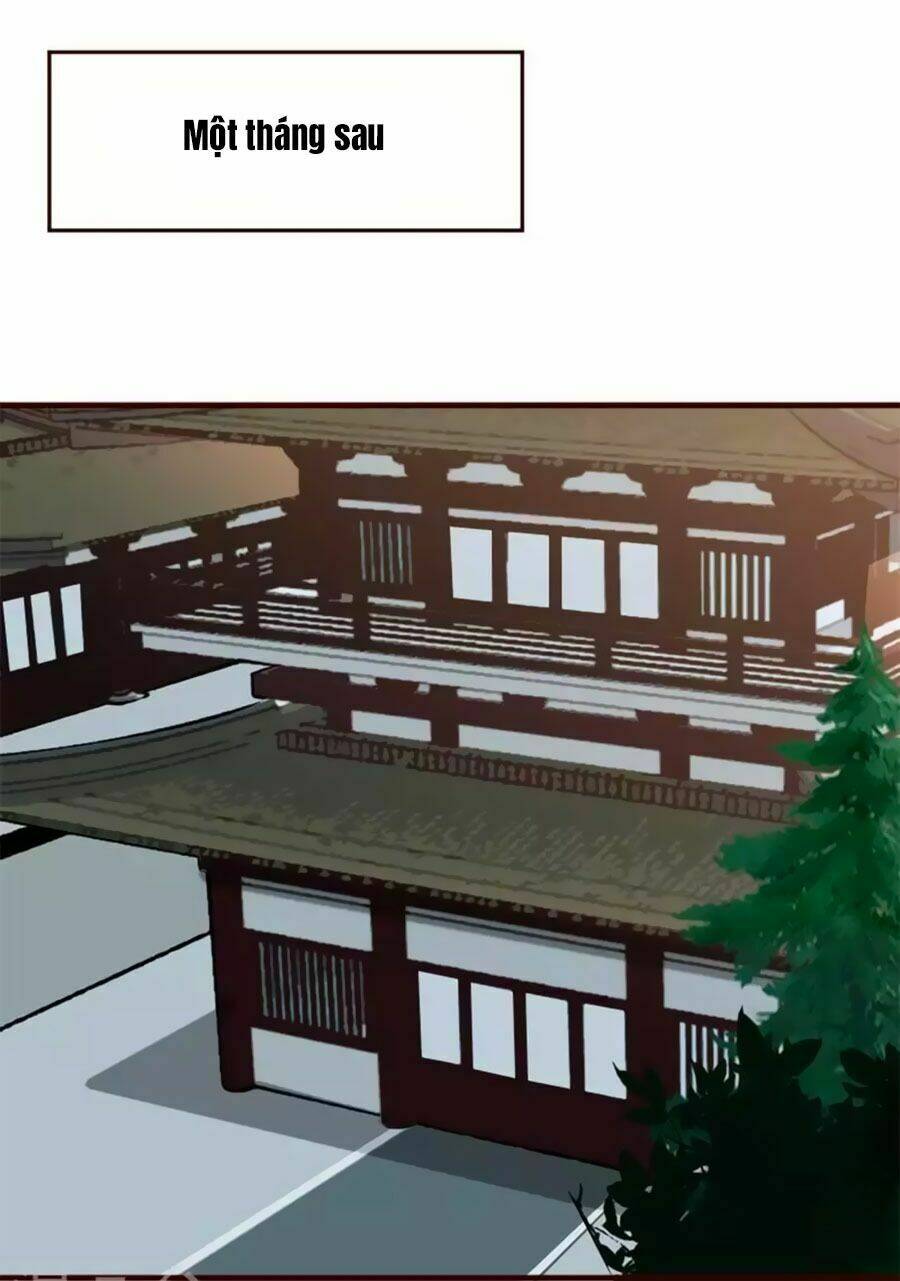 thỏ yêu tiểu vương phi chapter 2 2