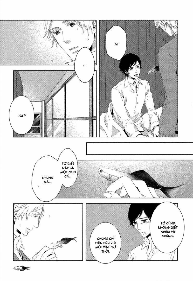 tsumasaki ni kourozu chapter 5 28