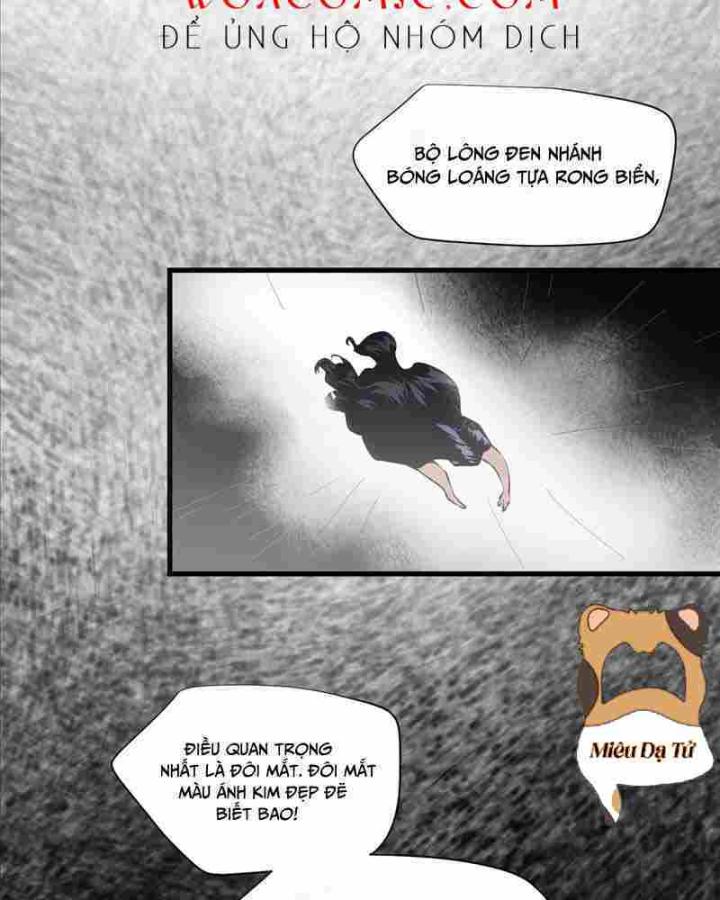 truyện cổ tích trong lòng mèo chapter 1 21