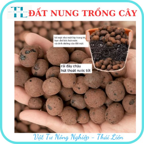 Hạt đất nung trồng cây thái lan, nhiều size, vô trùng, sử dụng lâu dài, trồng sen đá, phong lan, sứ, thuỷ canh