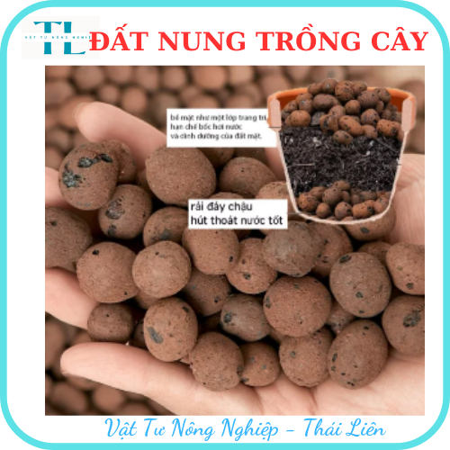 Hạt đất nung trồng cây thái lan, nhiều size, vô trùng, sử dụng lâu dài, trồng sen đá, phong lan, sứ, thuỷ canh (Bịch 1dm3 = 0.5kg)