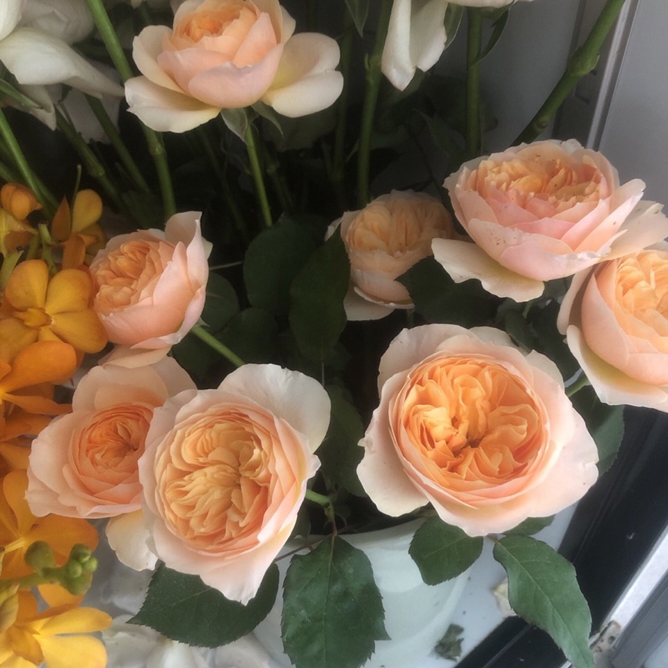 Thuốc Bột Cắm Hoa Tươi nhập khẩu Israel tại shop Florist (1 hủ pha 100L nước cắm hoa) hiệu Longlife SG là bí quyết giúp hoa cắm Xốp tươi lâu và hạn chế chăm sóc thay hoa mới