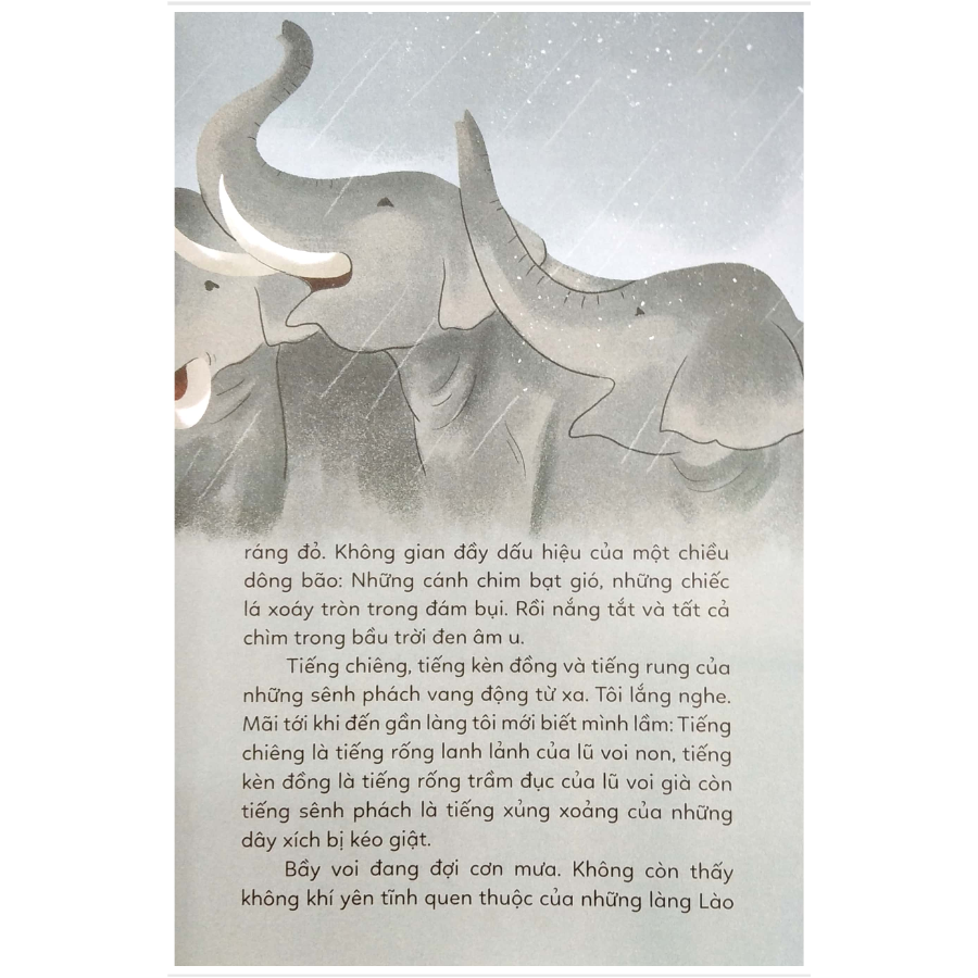 Sống Giữa Bầy Voi