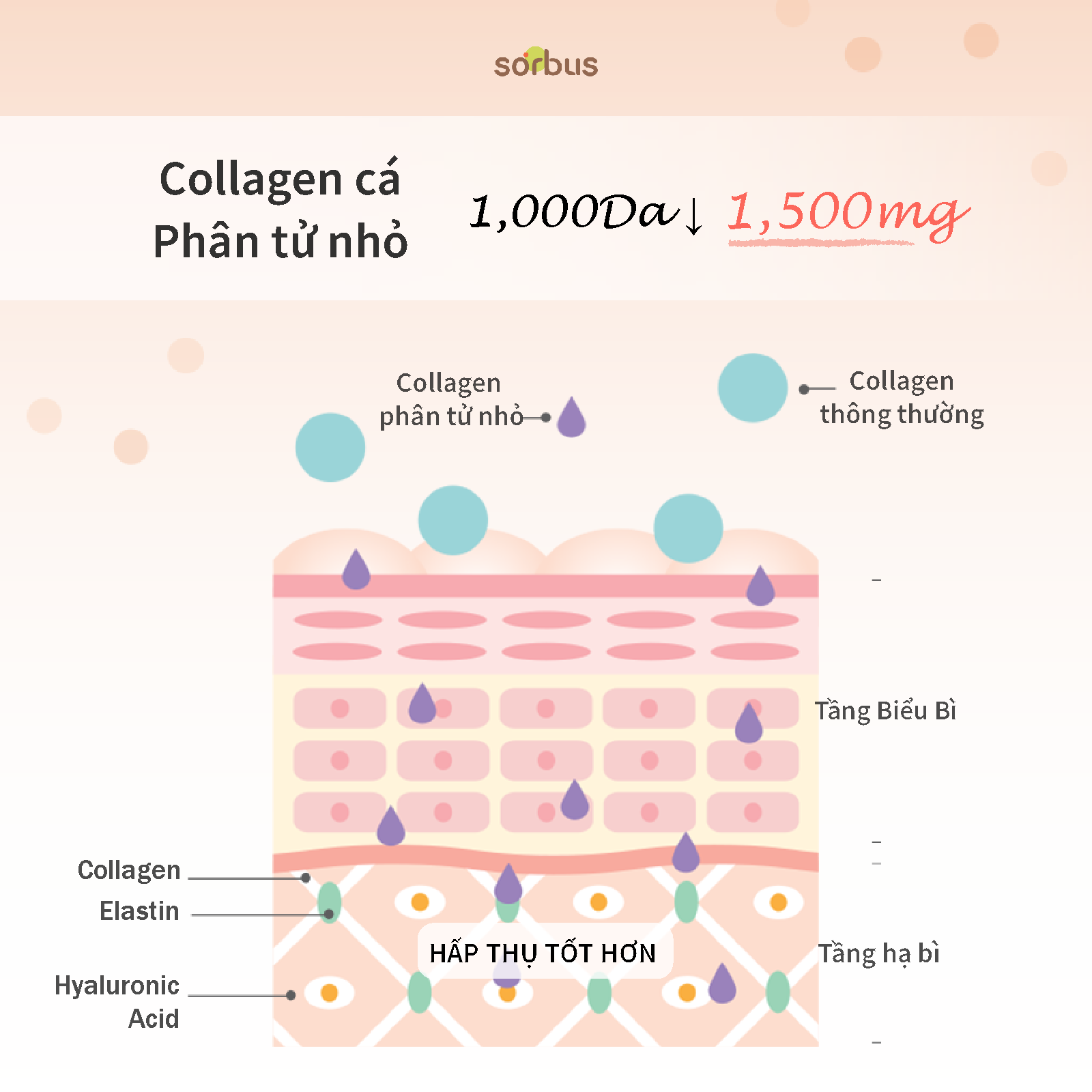 Sorbus - Thạch lựu Collagen Jelly Bar 1500mg ( 7 ngày) 