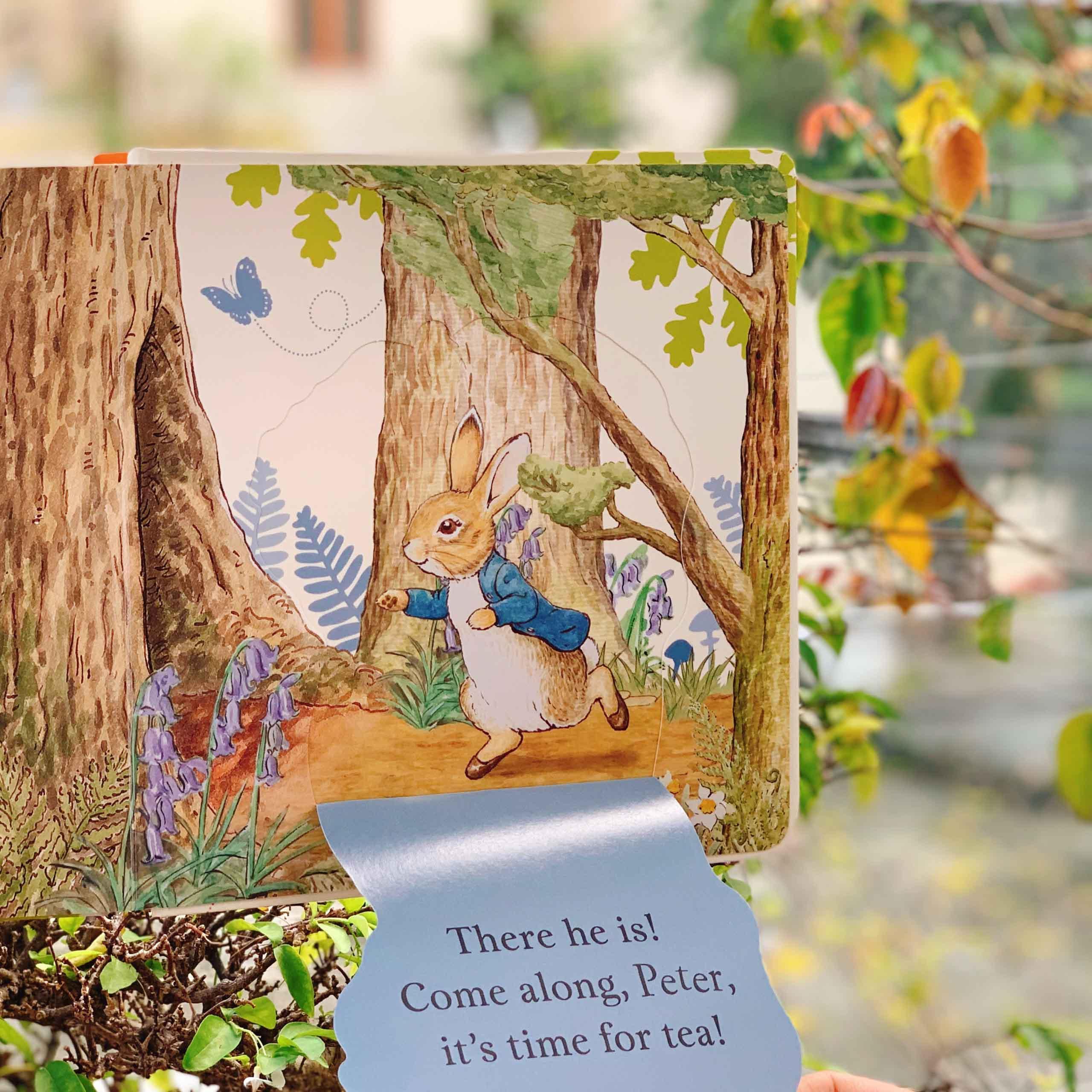 Where is Peter Rabbit? : Lift the Flap Book