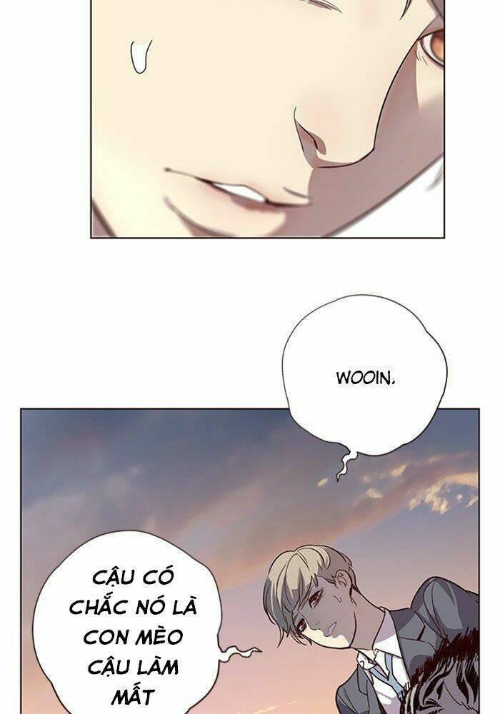 biến thân thành mèo chapter 11 99