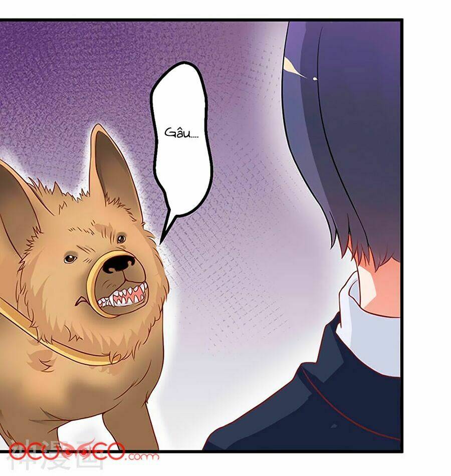 gối đầu vào tổng tài ác ma chapter 16 8