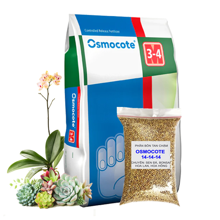Phân Tan Chậm Greenhome, Oscomote, Bao 50gr, Chuyên Sen Đá, Hoa Hồng, Xương Rồng, Bonsai, GIúp Sen Cứng, Giữ Form, Lên Màu