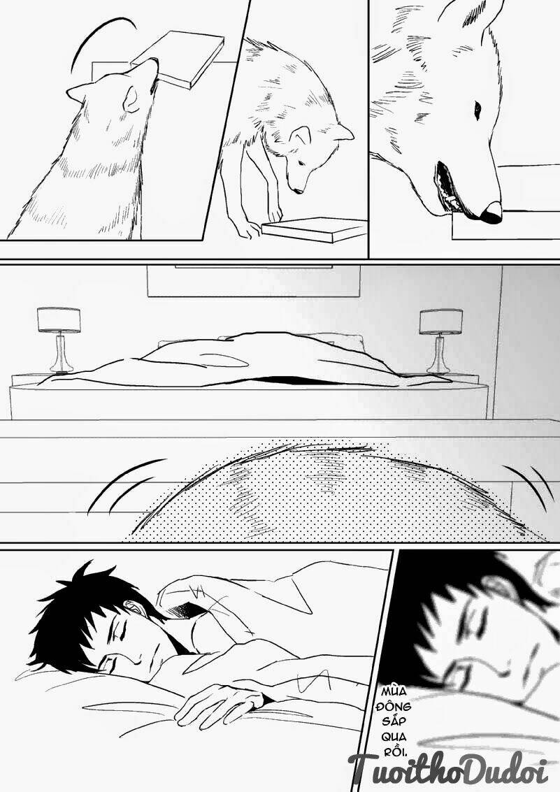 sự mê hoặc của sói chapter 16 9