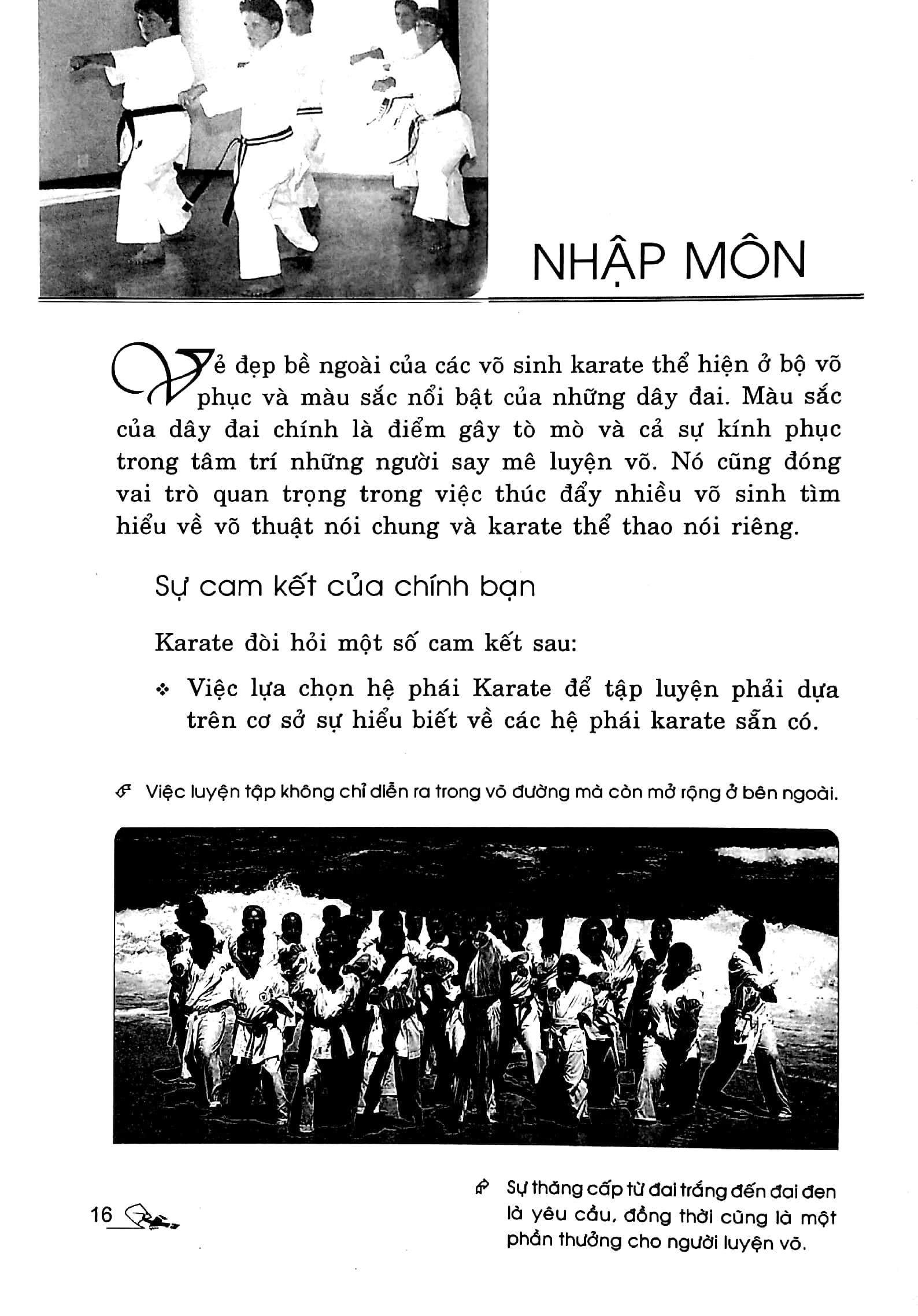 Hướng Dẫn Tập Luyện Karate Bằng Hình Ảnh