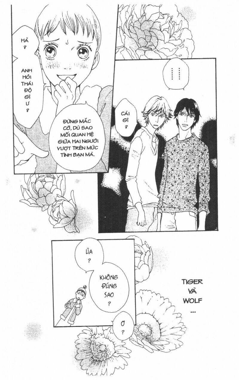 tigers and wolves chapter 1 61