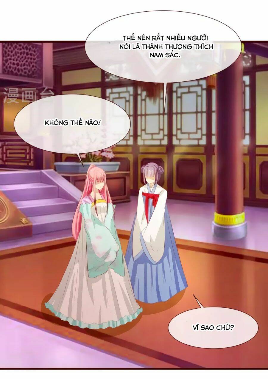 thỏ yêu tiểu vương phi chapter 22 9