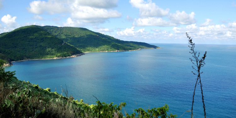 HÃ¬nh áº£nh cÃ³ liÃªn quan