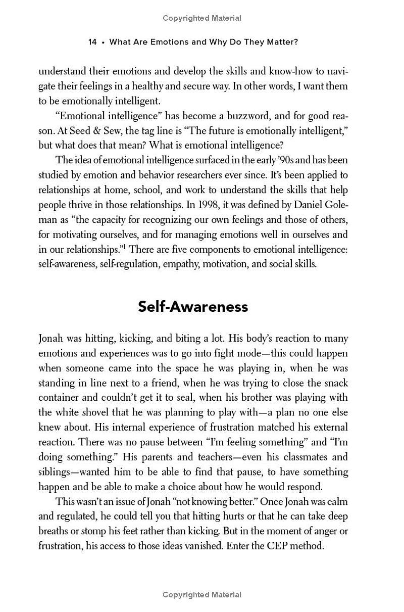 Sách ngoại văn: Tiny Humans, Big Emotions