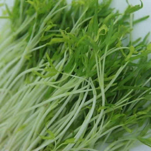 Hạt giống rau mầm rau muống VN - 100g
