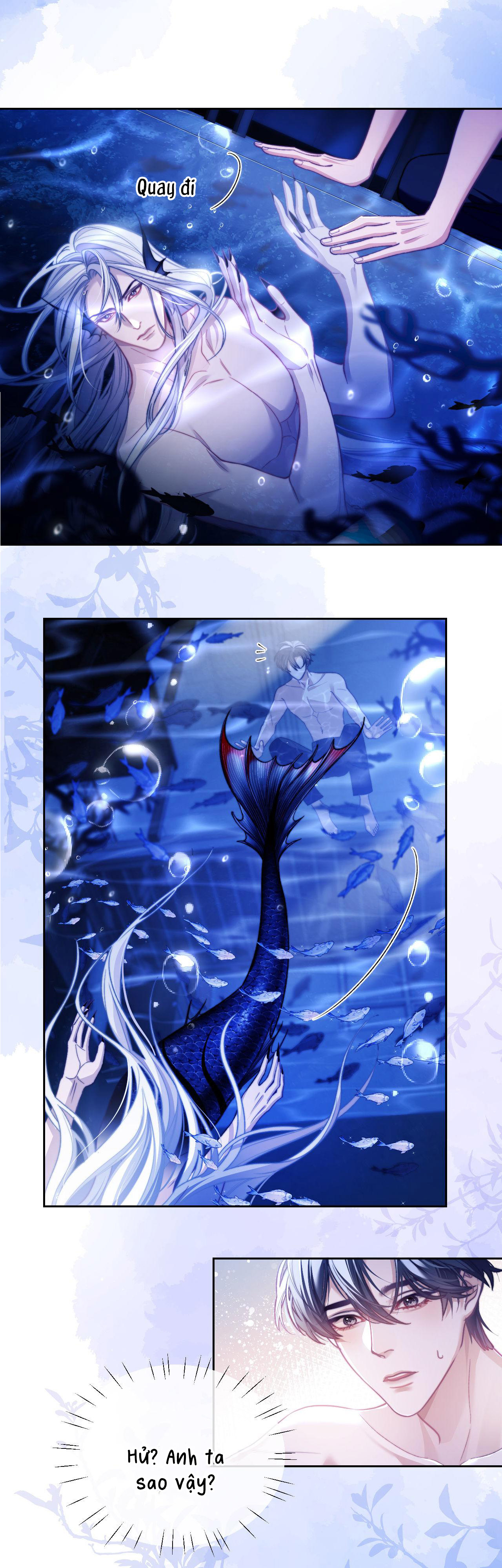 nhân ngư dessaro chapter 14 5
