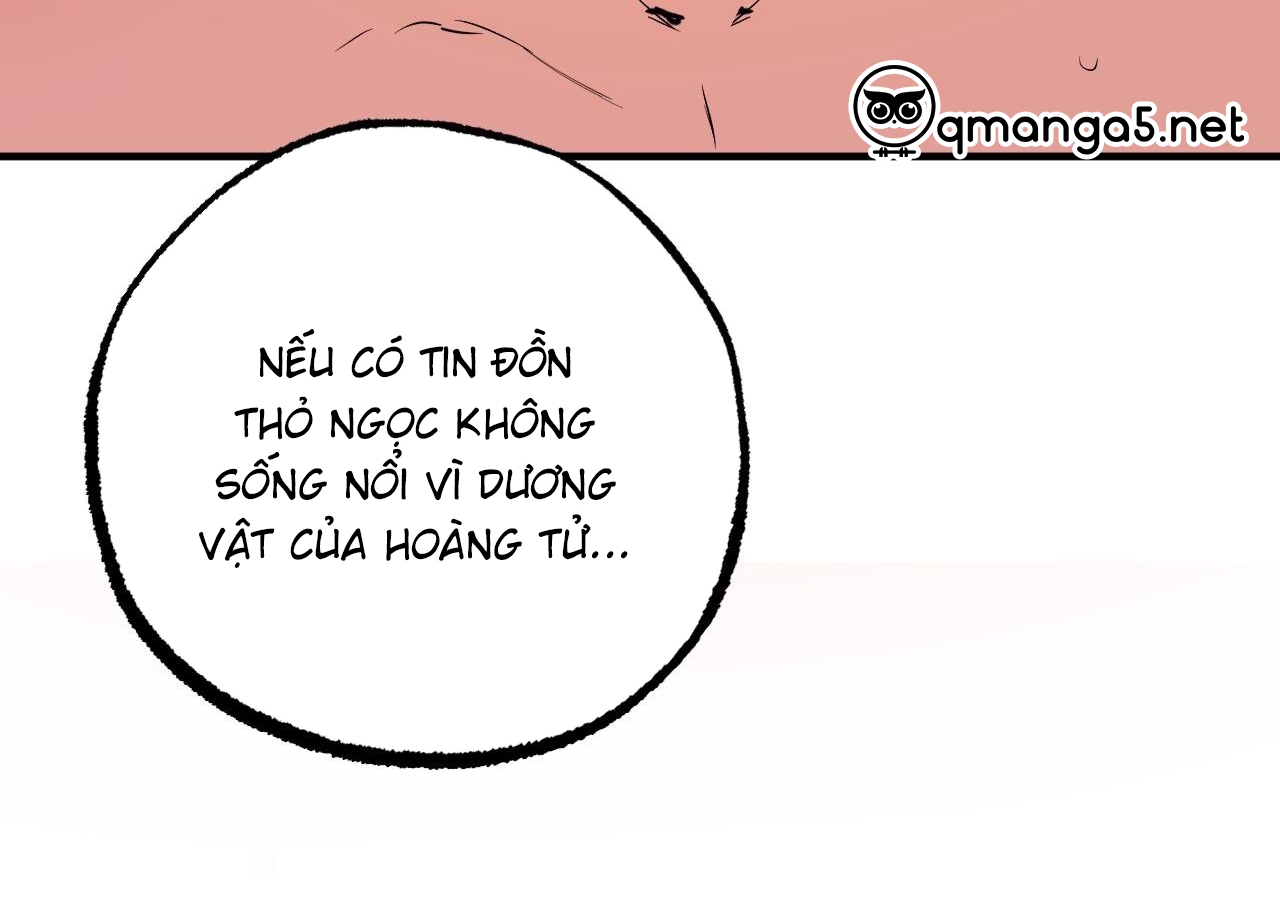 đàn thỏ của habibi chapter 63 256