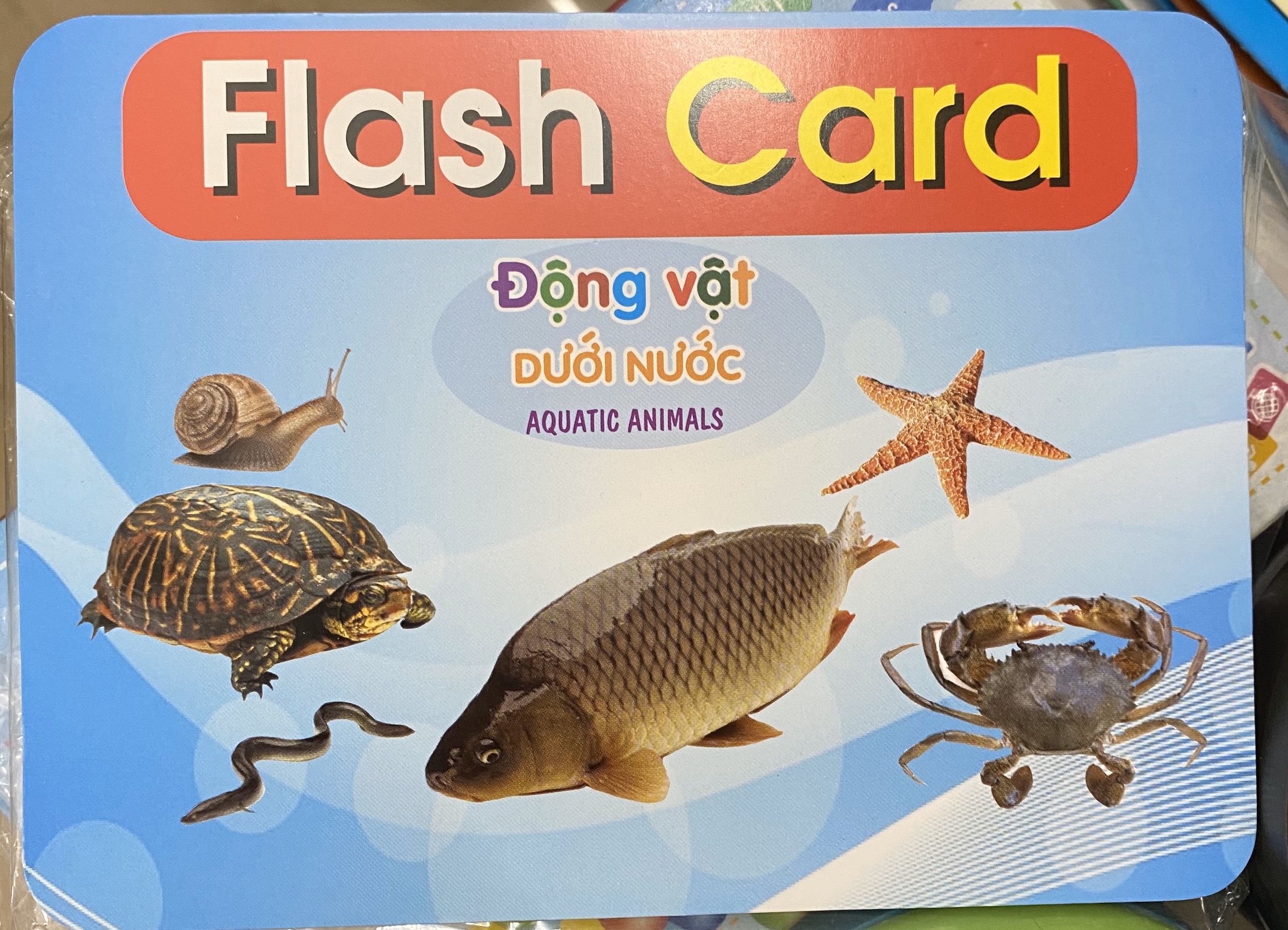 Thẻ Học Thông Minh Flashcard Song Ngữ Cho Bé